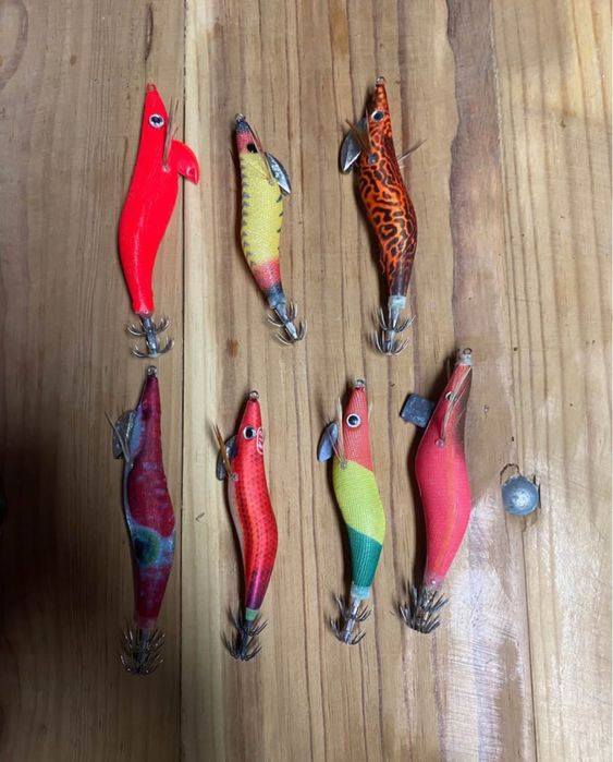 Iscos de pesca de choco