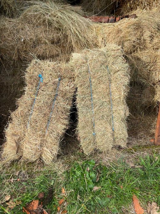Fardos de Feno Médios