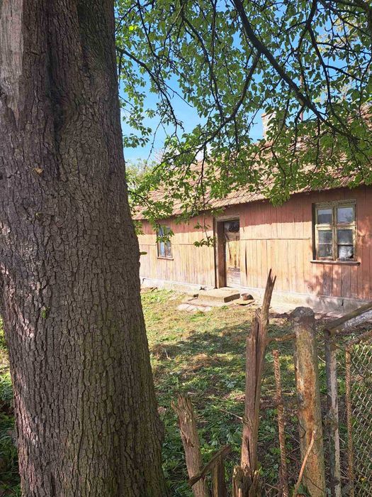 Продаж 22сотих під ,забудову ,будинок,с.Дмитровичі