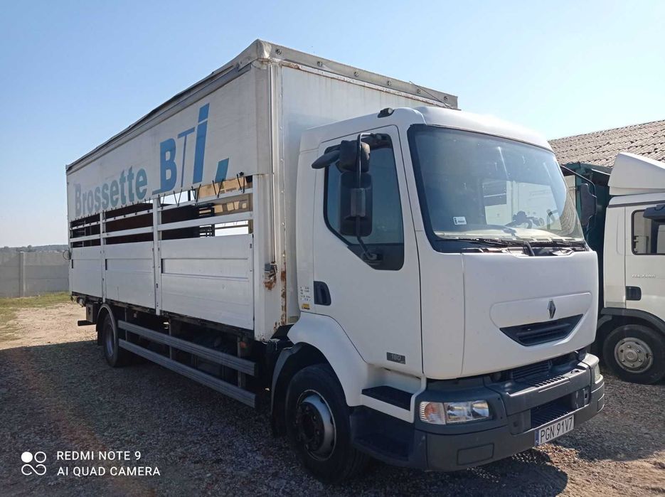 Renault Midlum, do żywca, do bydła sprawny