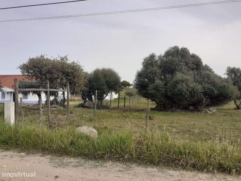 Terreno em São Miguel de Machede - Évora