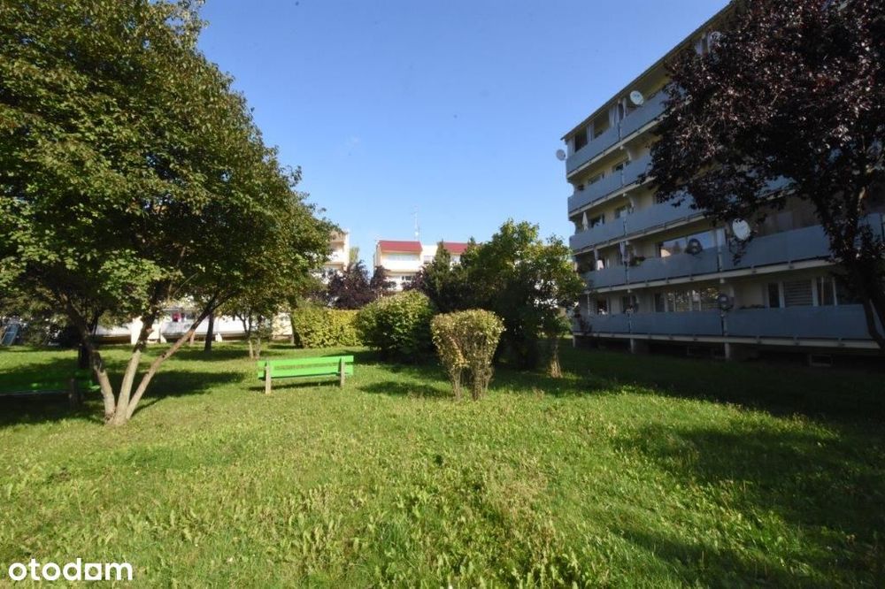 Mieszkanie – Głuchołazy, Osiedle Konstytucji 3 Maja, powiat nyski - Widok 2