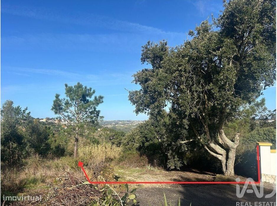 Terreno Agrícola em Mafra