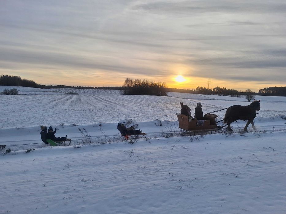 Wynajmę Domek na Farmie