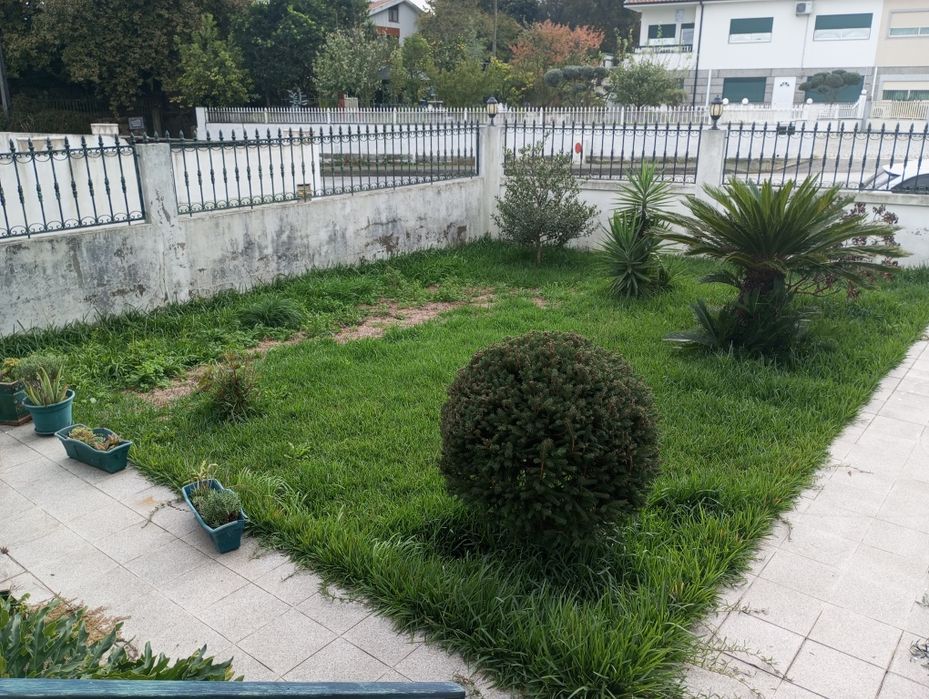 Manutenção de jardim