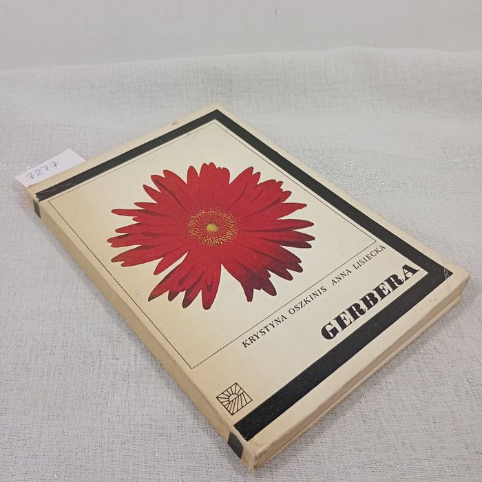 Gerbera. Anna Lisiecka