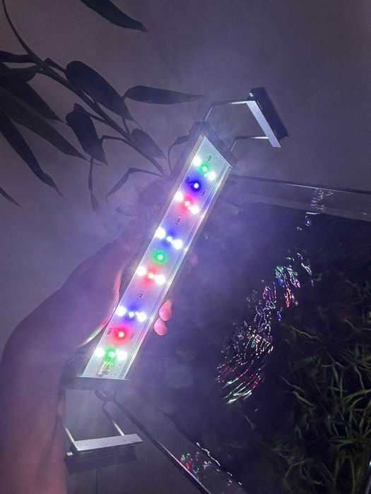 Aquário plantado 31 litros com acessórios