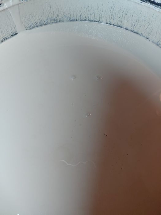 Vendo 2 baldes de tinta (ler bem o anúncio)