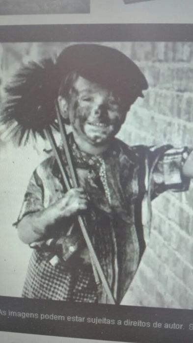 Lenha ,carvão,pinhas ,limpeza de chaminés