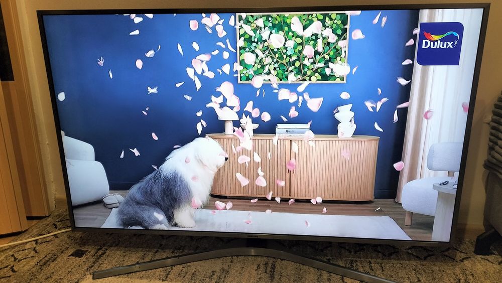 Tv Samsung 49cale LED