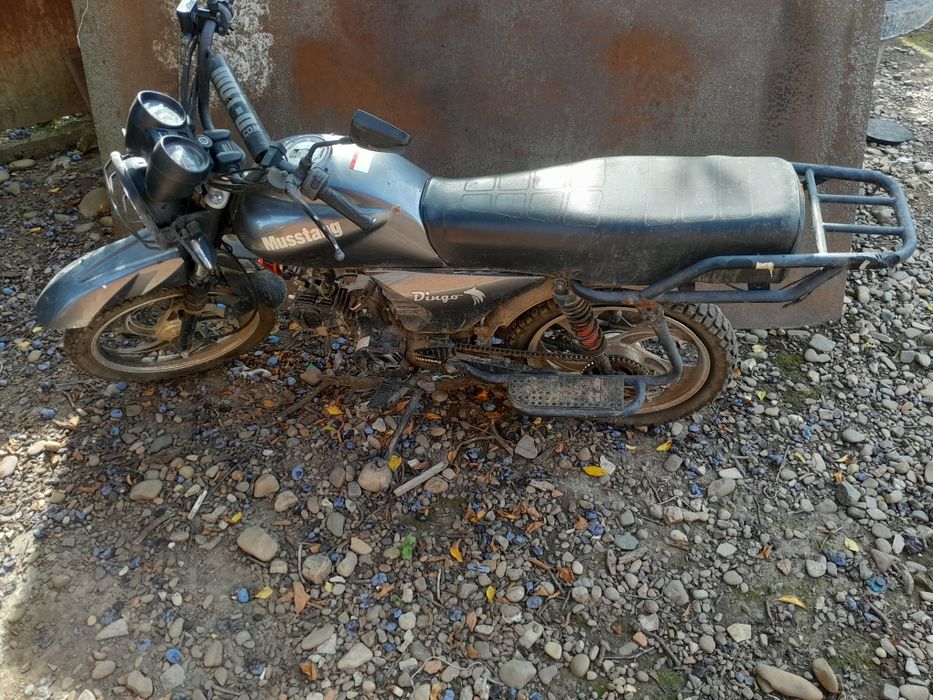 Мустанг дінго хl 124 кубів
