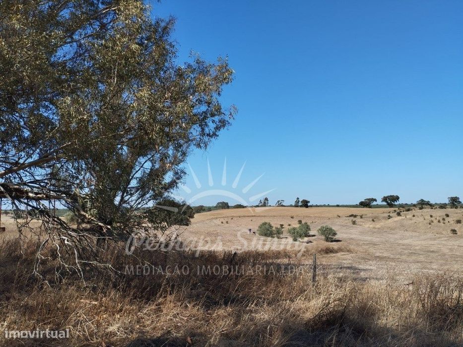 Herdade a 10km de Alvalade do Sado
