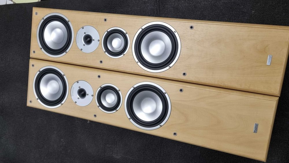 Hi-Fi Напольна Акустика Magnat motion 1000 з Німеччини, Світле дерево