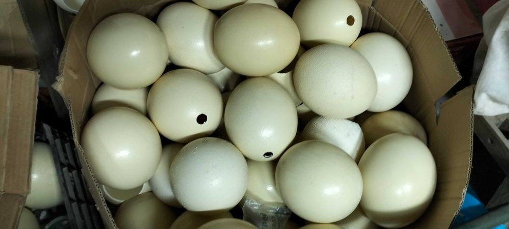 Ovos de avestruz, decoração, artesanato, Bijuteria