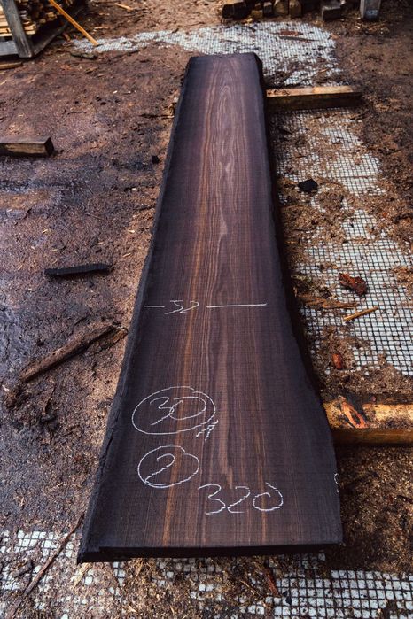 Czarny Dąb Deski Monolity Tarcica Drewno Blaty