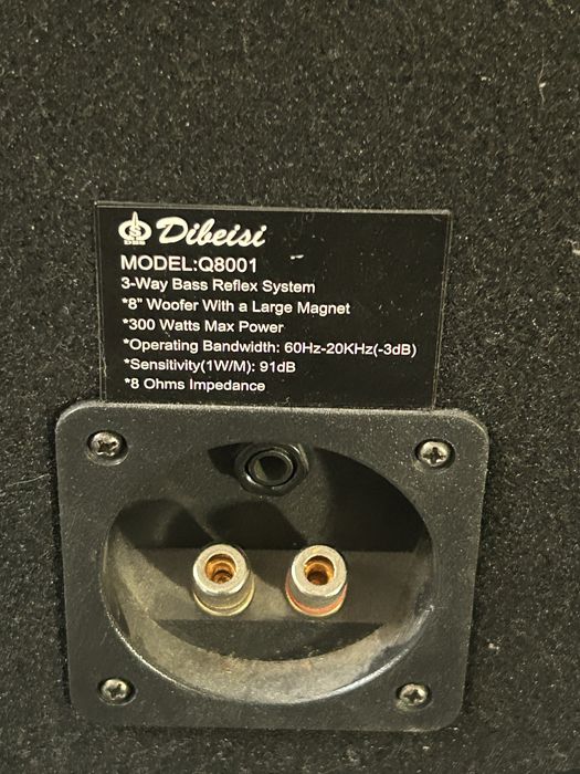 Amplituner technics i dwie kolumny estradowe