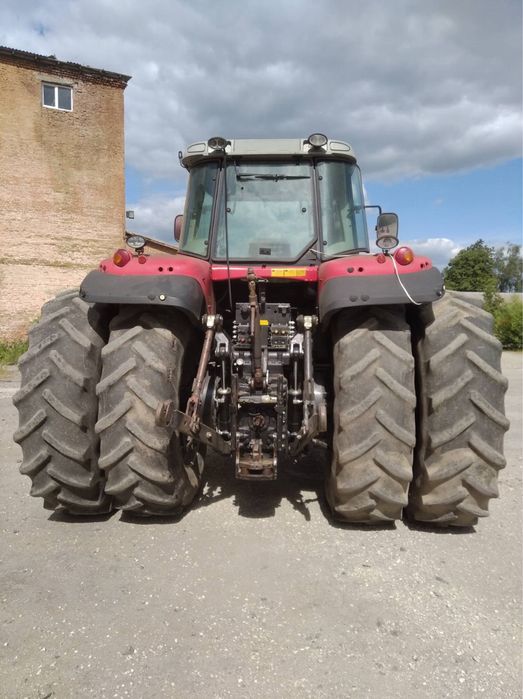 Продам майсей фигусон