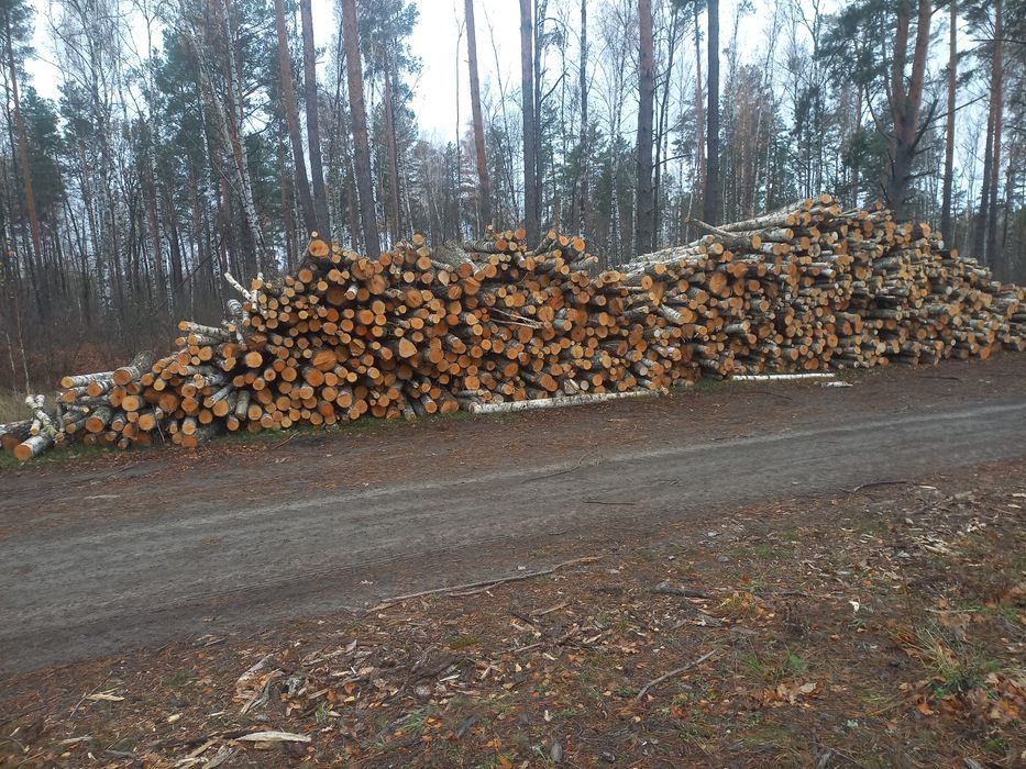 Дрова рубані гарної якості береза, вільха, дуб, граб