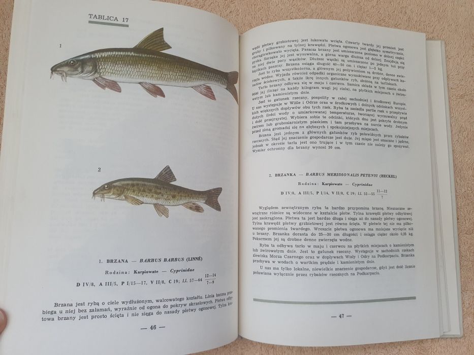 Ryby wód polskich Andrzej Rudnicki