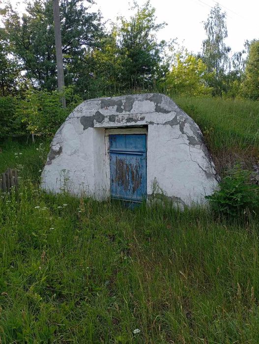 Будинок садиба біля лісу