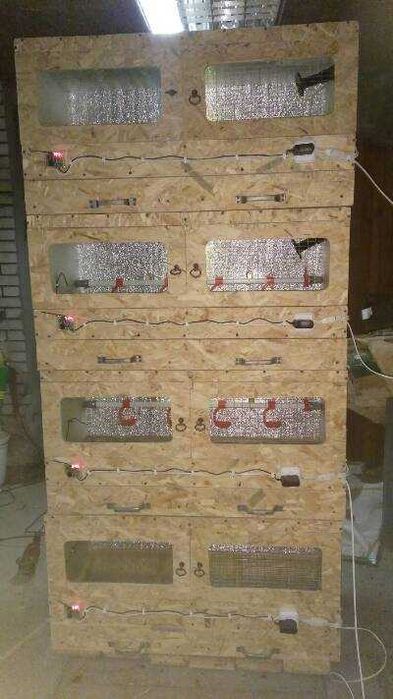 Брудер для курчат, перепелят .