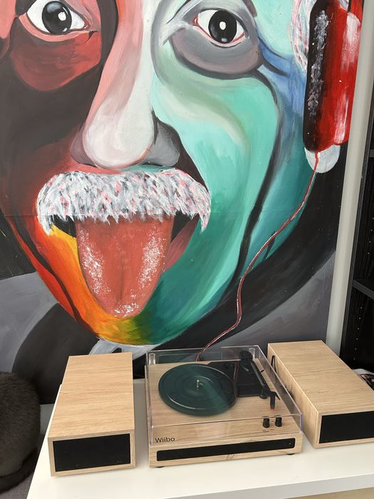 Leitor vinis gira discos wiibo com sistema de som colunas e bluetooth