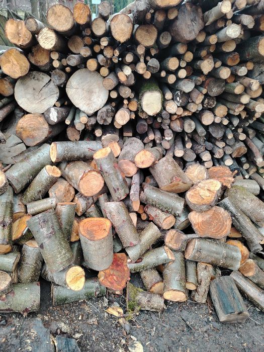 Drewno, opałowe.