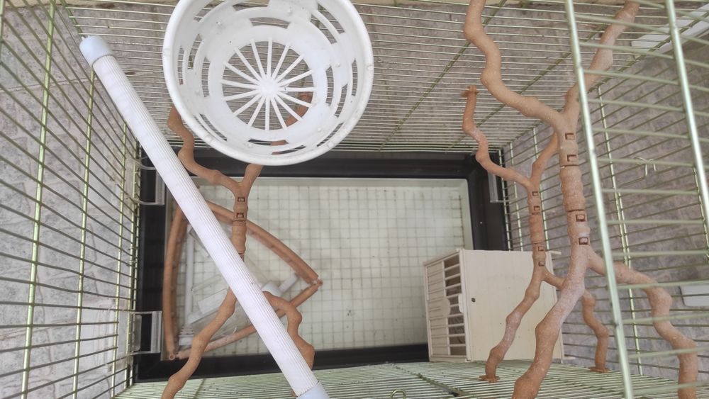 Gaiola para passaros