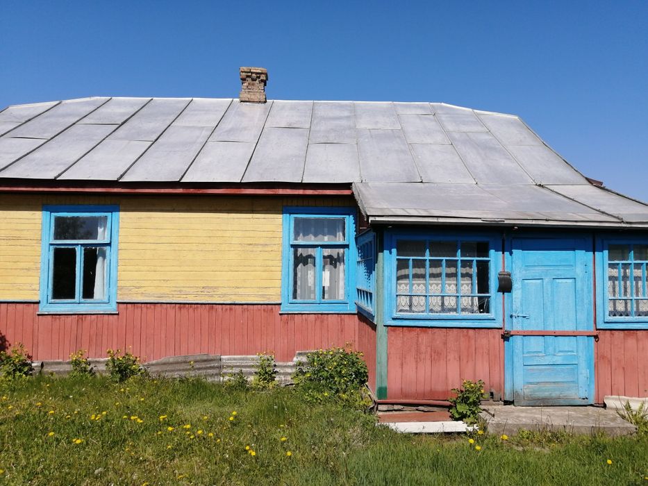 будинок в селі біля лісу