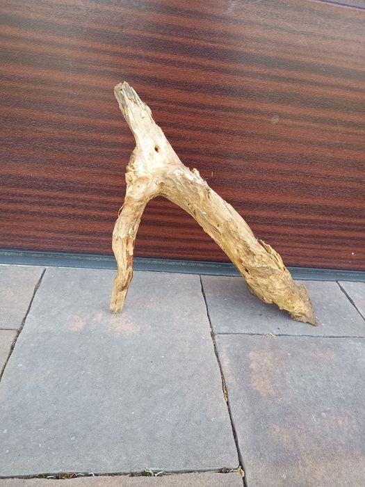 Średni, naturalny konar/kłoda do terrarium