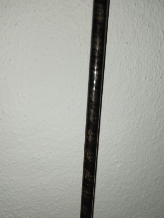 Par de canas de pesca