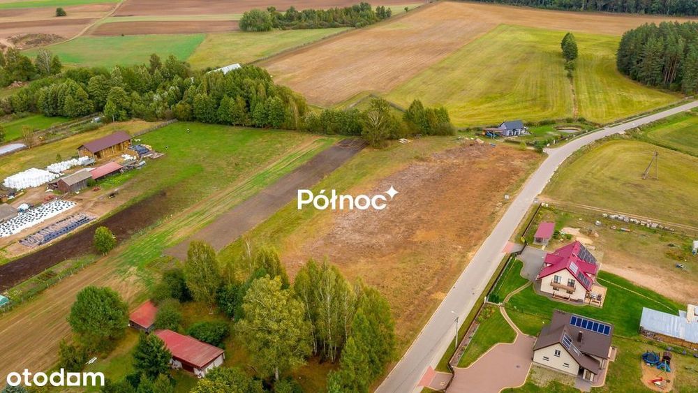 Zdjęcie 8