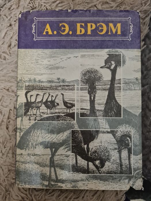 А.Э. Брэм. Жизнь животных