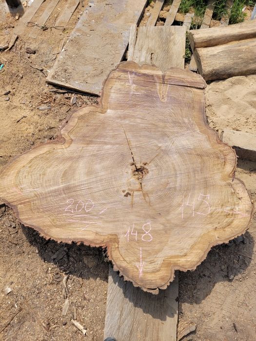 Срез дерева Спил дерева Пано