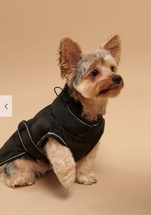 Жилет для маленької собачки