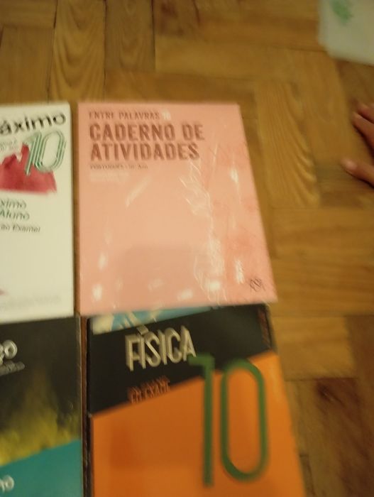 Cadernos de atividades 10°ano