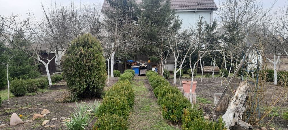 Продаж доглянутої ділянки