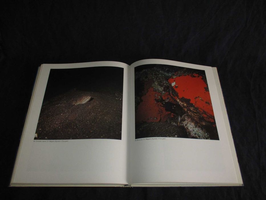Livro Fauna Submarina Atlântica Luiz Saldanha