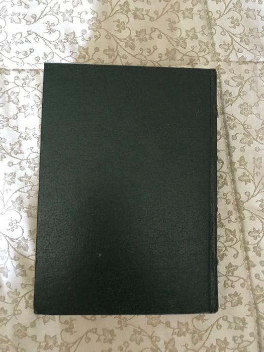 Livro Uma Familia Inglesa de Júlio Dinis