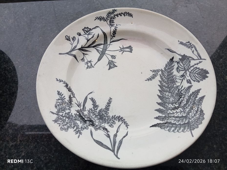 Diversos pratos porcelana