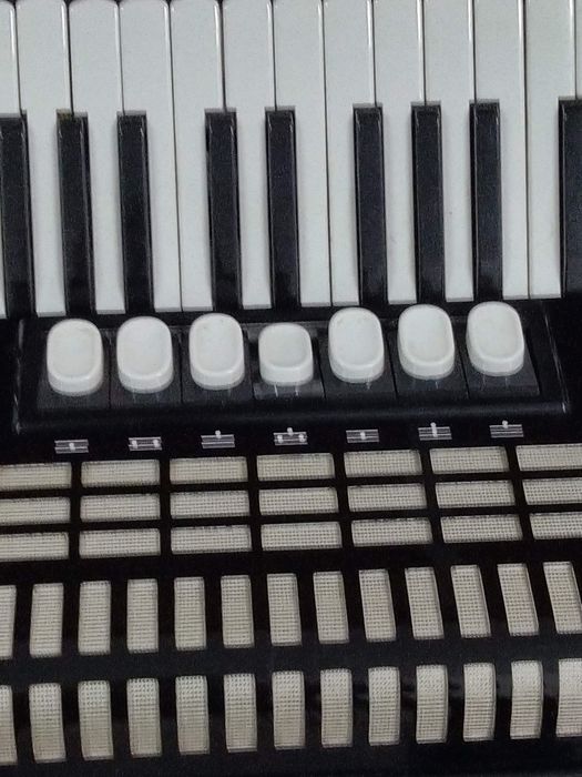Hohner Studant 3 voz