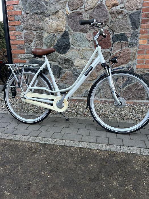 Rower Holenderski Montego