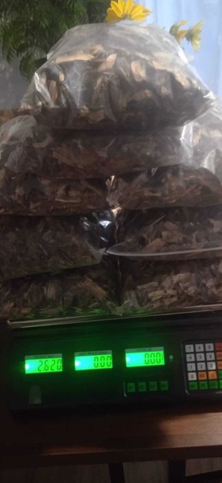 Grzyby Kozlarz czerwony suszone 1 KG 180zl SUPER CENA-2025R