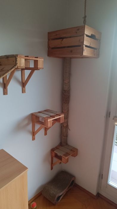 Drapak dla kota, tor przeszkód