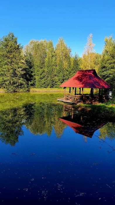 Будинок, 150сот. власне озеро с.Здорівка Васильківський  Київська обл.