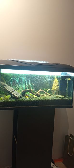 Sprzedam akwarium 60l