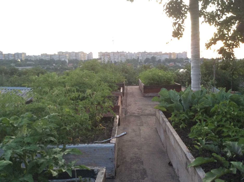 Продам реальный дом на пр.О.Поля (к-т Игрушек)