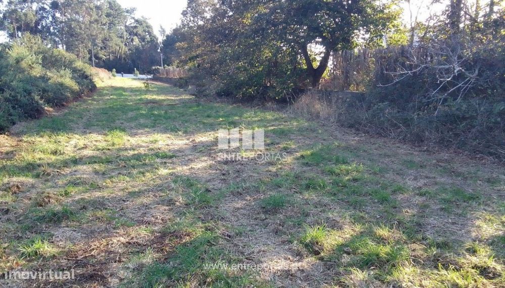 Venda de Terreno para construção, Carreço, Viana do Castelo.