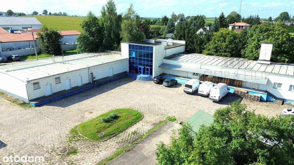 Działająca Piekarnia | Produkcja- Ciechocin