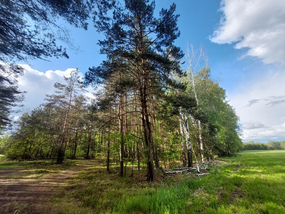 Działka leśna i rolna 4,29ha